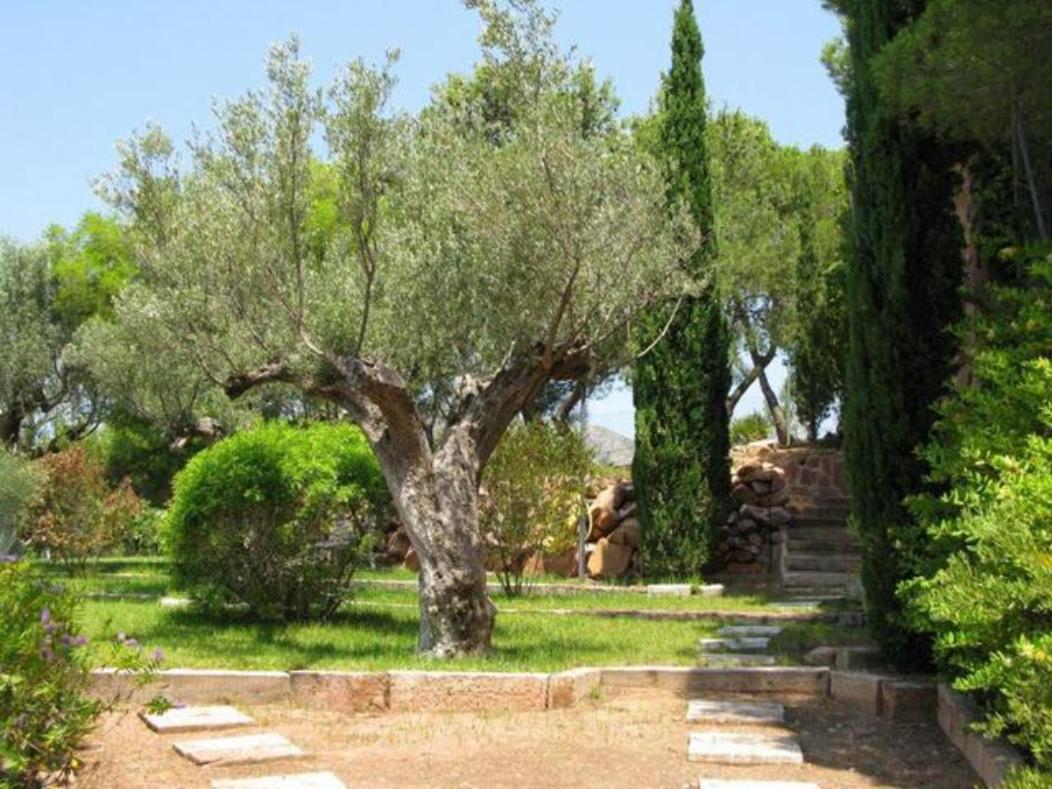 Villa Monteamor Naquera Exterior photo